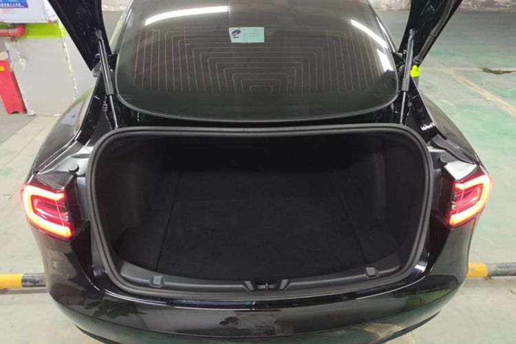 Tesla Model 3 2020 car image #19