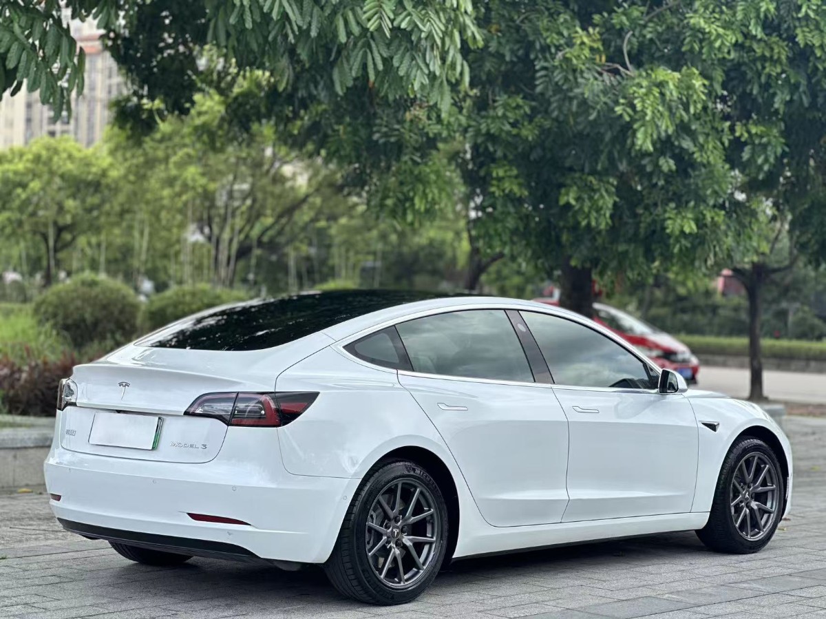 Tesla Model 3 2020 car image #9