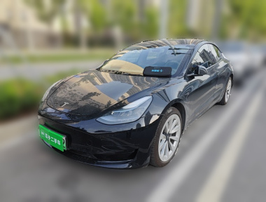 Tesla Model 3 2022 Tesla Model 3 2022 car image