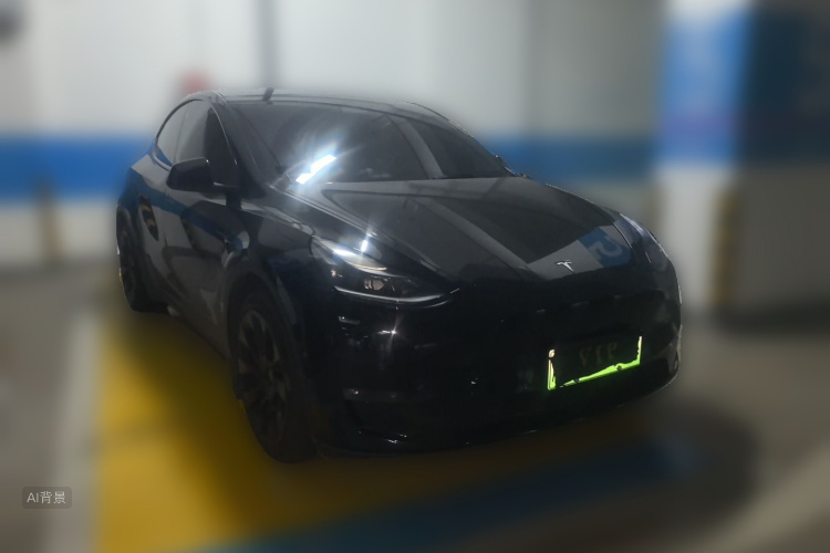 Tesla Model Y 2021 car image #4