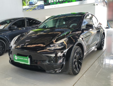 Tesla Model Y 2024 Tesla Model Y 2024 car image