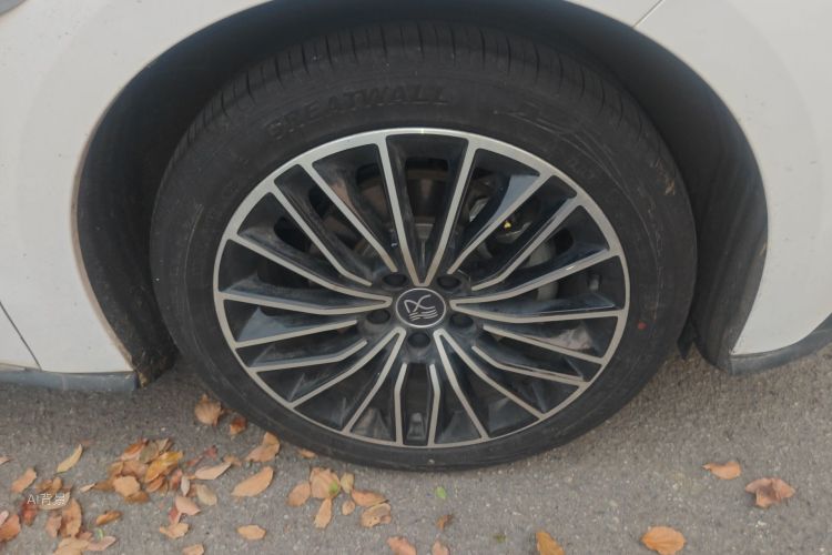 BYD Han 2022 صورة سيارة #9