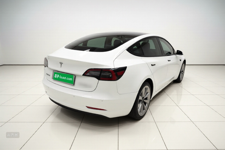 Tesla Model 3 2021 car image #5