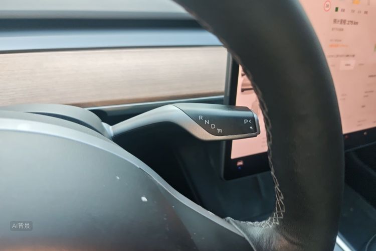 Tesla Model 3 2022 car image #16