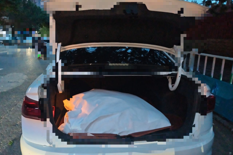 Volkswagen Bora 2018 car image #17