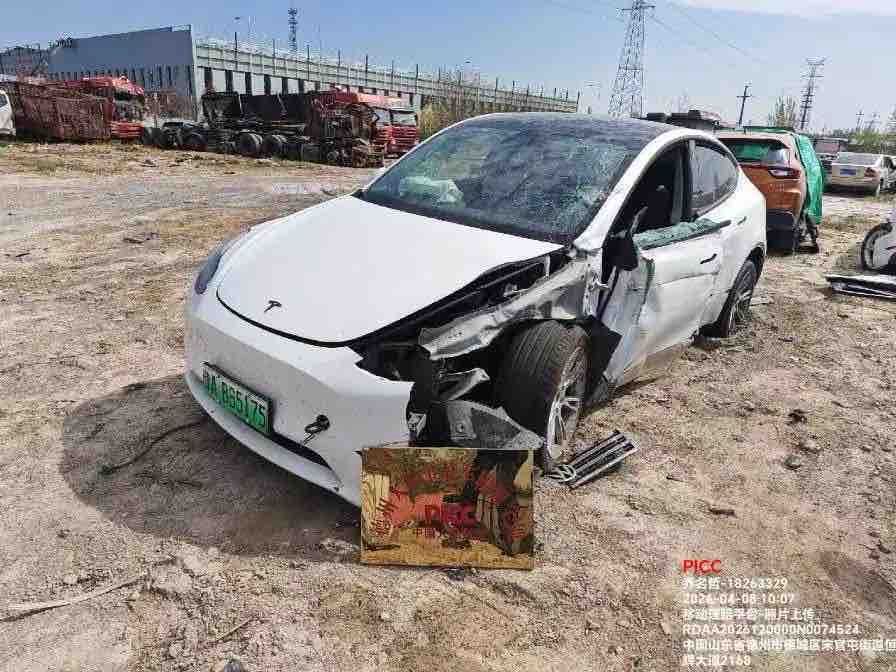 Tesla Model Y 2021 car image #12