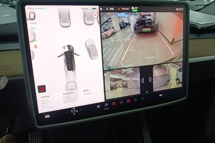 Tesla Model Y 2022 immagine di auto #13