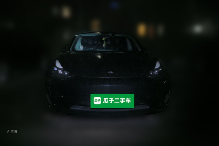 Tesla Model 3 2023 #3 Tesla Model 3 2023 car image #3