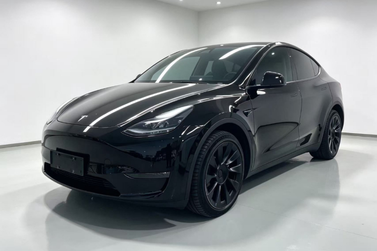 Tesla Model Y 2021 #2 Tesla Model Y 2021 car image #2