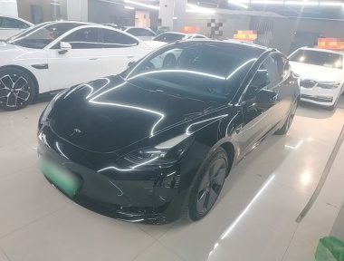 Tesla Model 3 2022 car image 