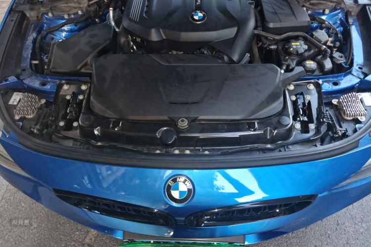 BMW 3 Series GT 2019 #22 BMW 3 Series GT 2019 car image #22