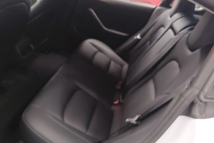 Tesla Model 3 2021 car image #17