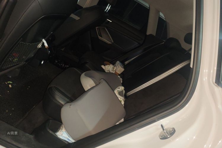 Audi Q3 2019 car image #19