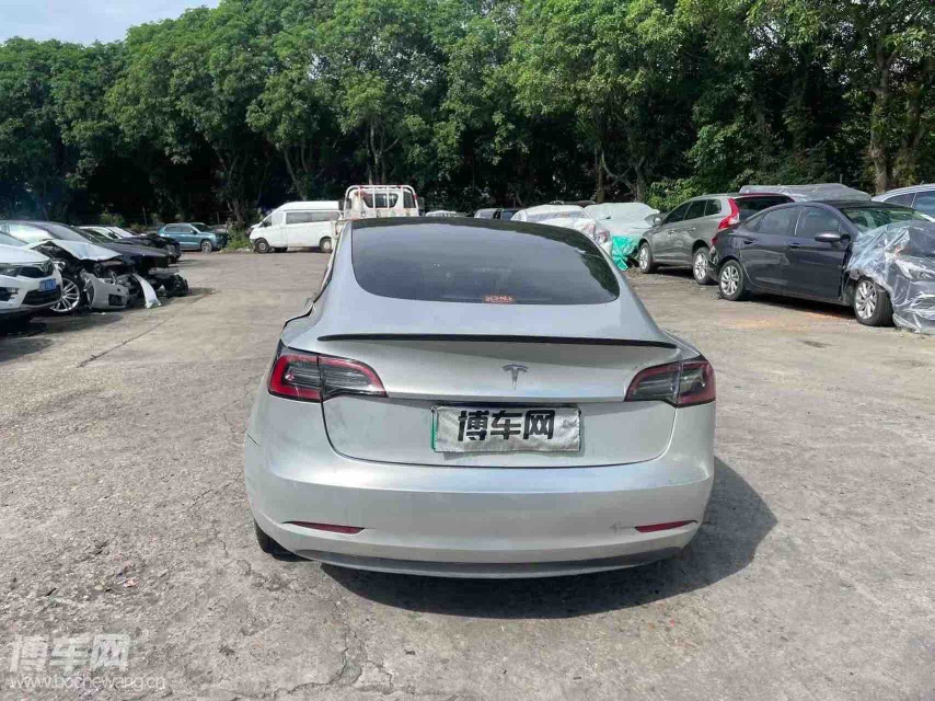 Tesla Model 3 2021 car image #12