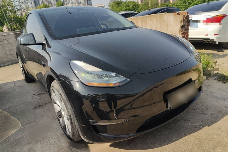 Tesla Model Y 2023 car image #6