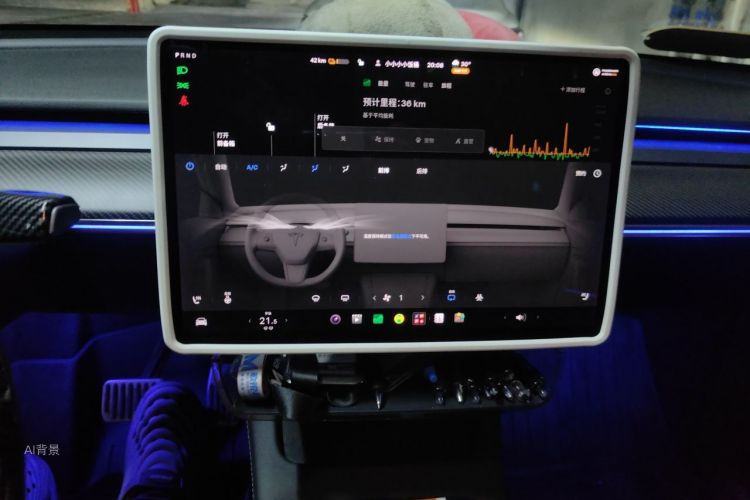 Tesla Model Y 2021 car image #15