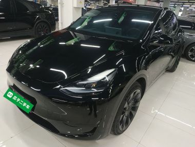 Tesla Model Y 2022 Tesla Model Y 2022 car image