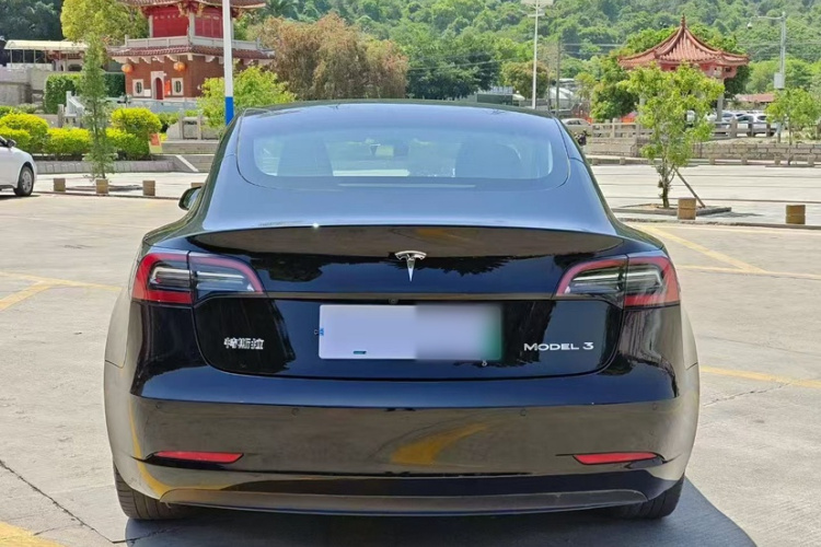 Tesla Model 3 2021 #8 Tesla Model 3 2021 car image #8