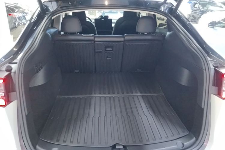 Tesla Model Y 2024 #19 Tesla Model Y 2024 car image #19