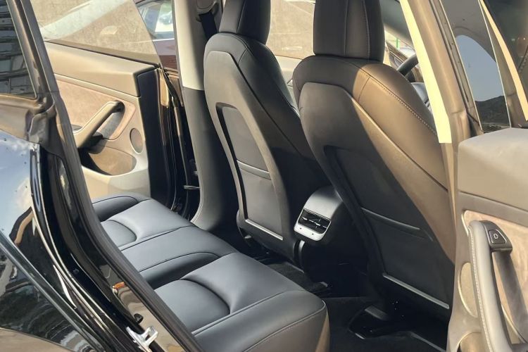 Tesla Model 3 2021 car image #10
