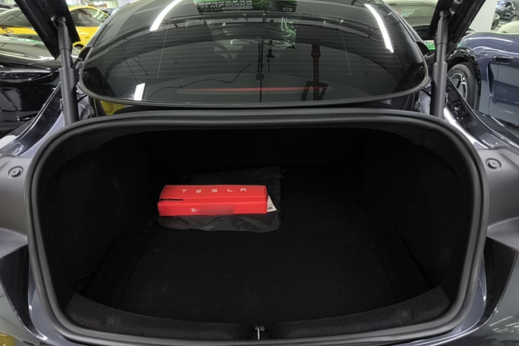 Tesla Model 3 2023 imagem de carro #19