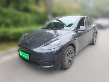 Tesla Model Y 2024 car image 