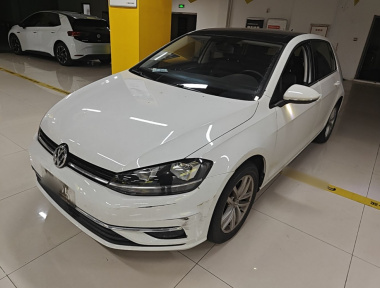 Volkswagen Golf 2019 Volkswagen Golf 2019 car image