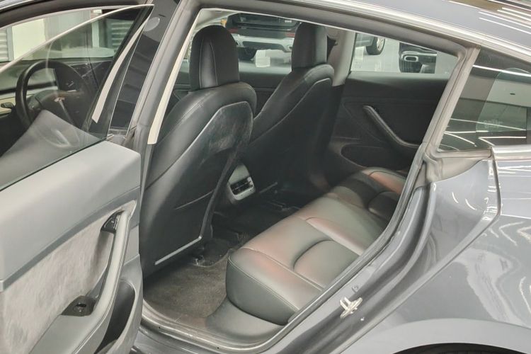 Tesla Model 3 2020 car image #13