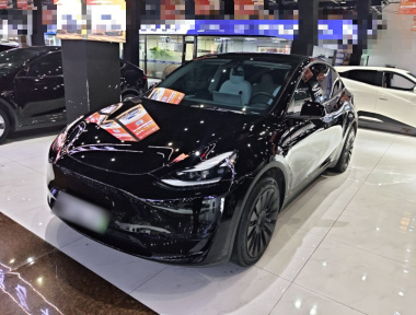 Tesla Model Y 2022 Tesla Model Y 2022 car image