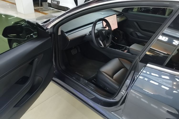 Tesla Model 3 2020 car image #16