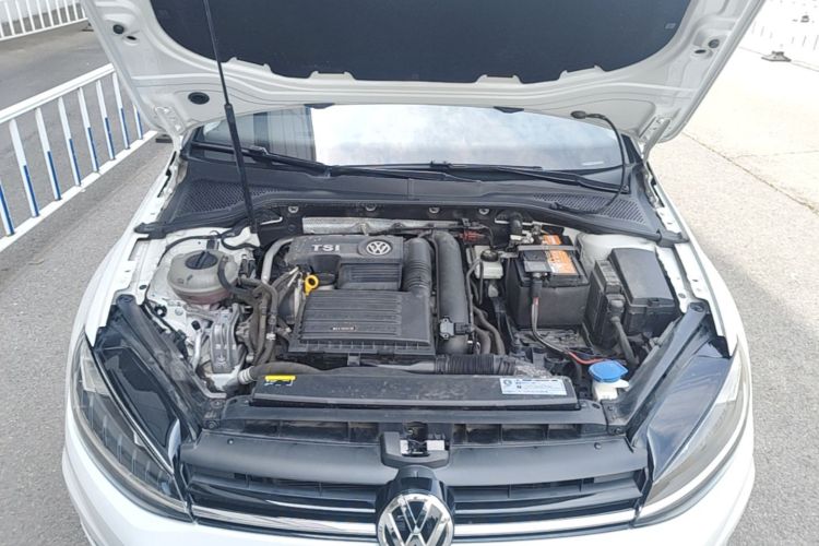 Volkswagen Golf 2019 #20 Volkswagen Golf 2019 car image #20