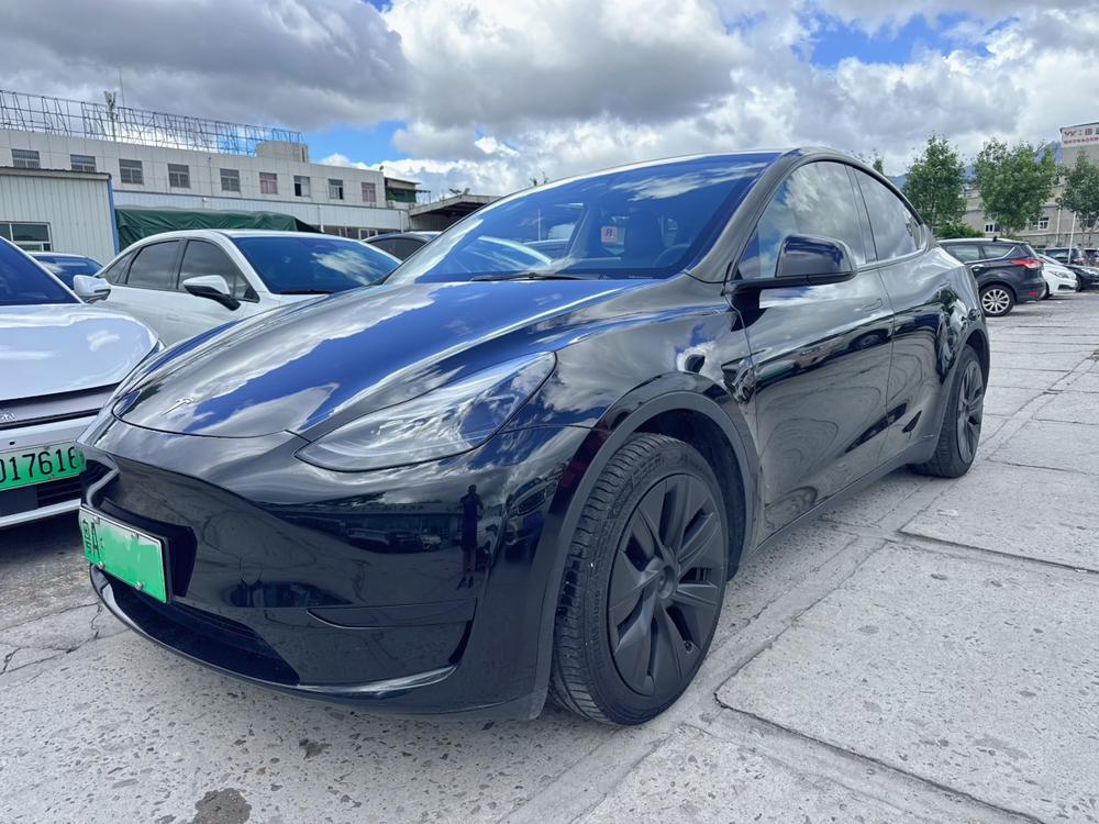 Tesla Model Y 2024 car image 