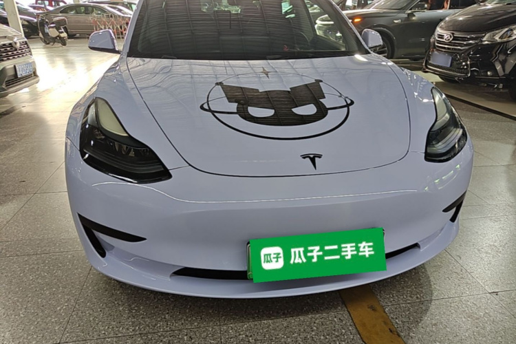 Tesla Model 3 2023 #3 Tesla Model 3 2023 car image #3