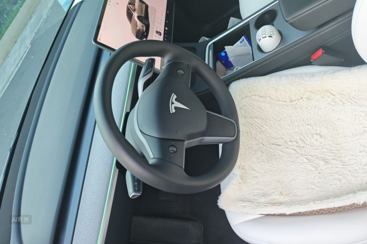 Tesla Model Y 2023 car image #12