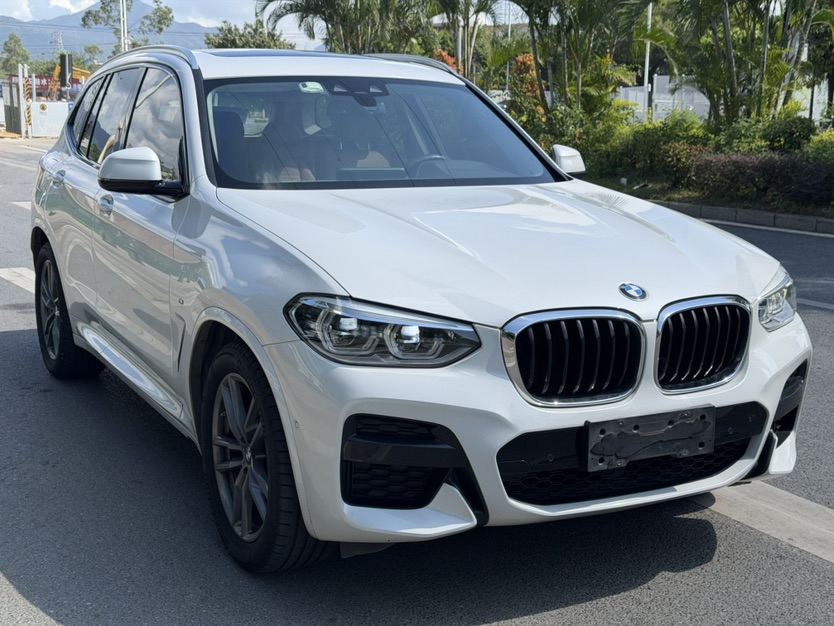 BMW X3 2019 #3 BMW X3 2019 immagine di auto #3
