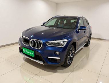 BMW X1 2019 car image 
