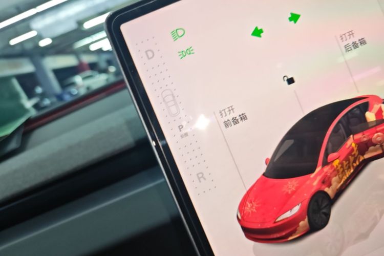Tesla Model 3 2024 car image #14