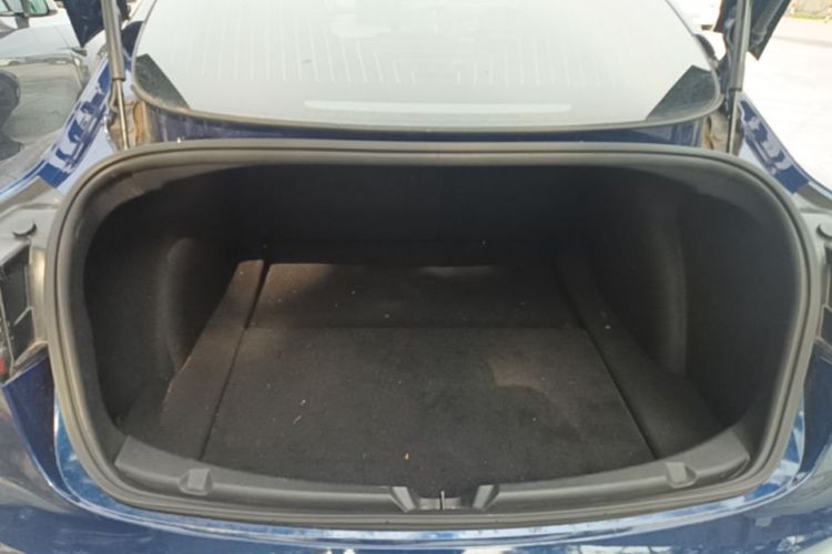 Tesla Model 3 2020 immagine di auto #19