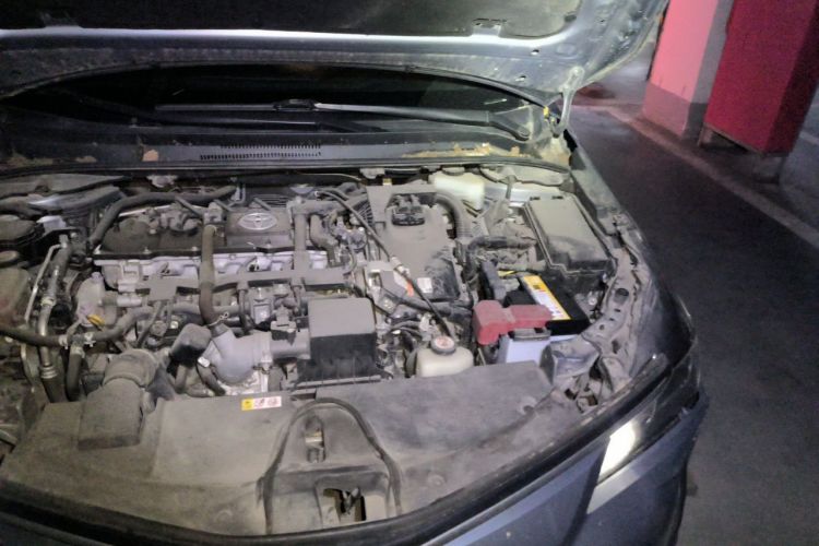 Toyota Corolla 2020 car image #25