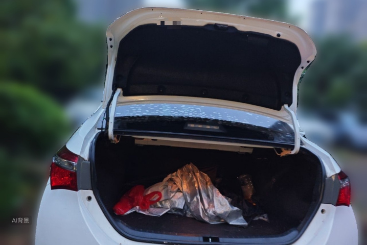 Toyota Corolla 2019 car image #21