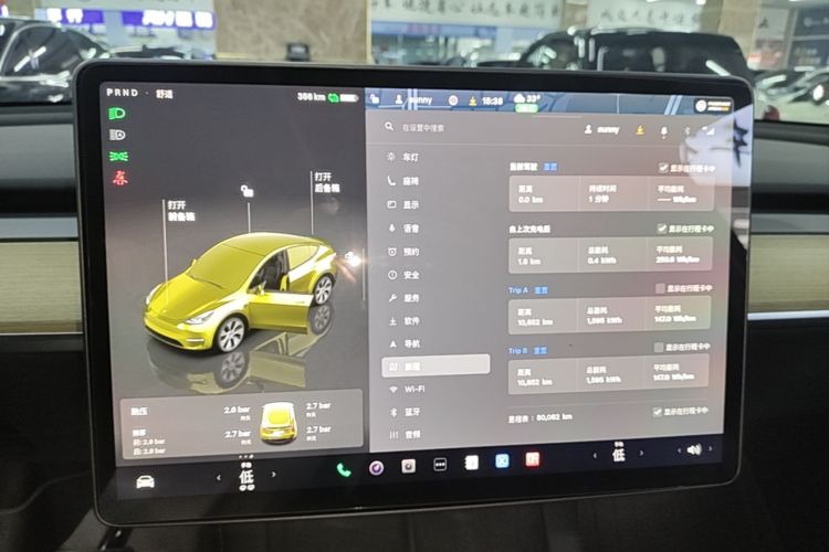 Tesla Model Y 2023 car image #13