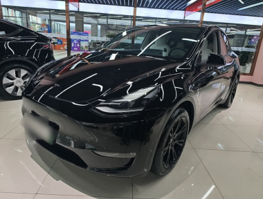 Tesla Model Y 2021 car image 
