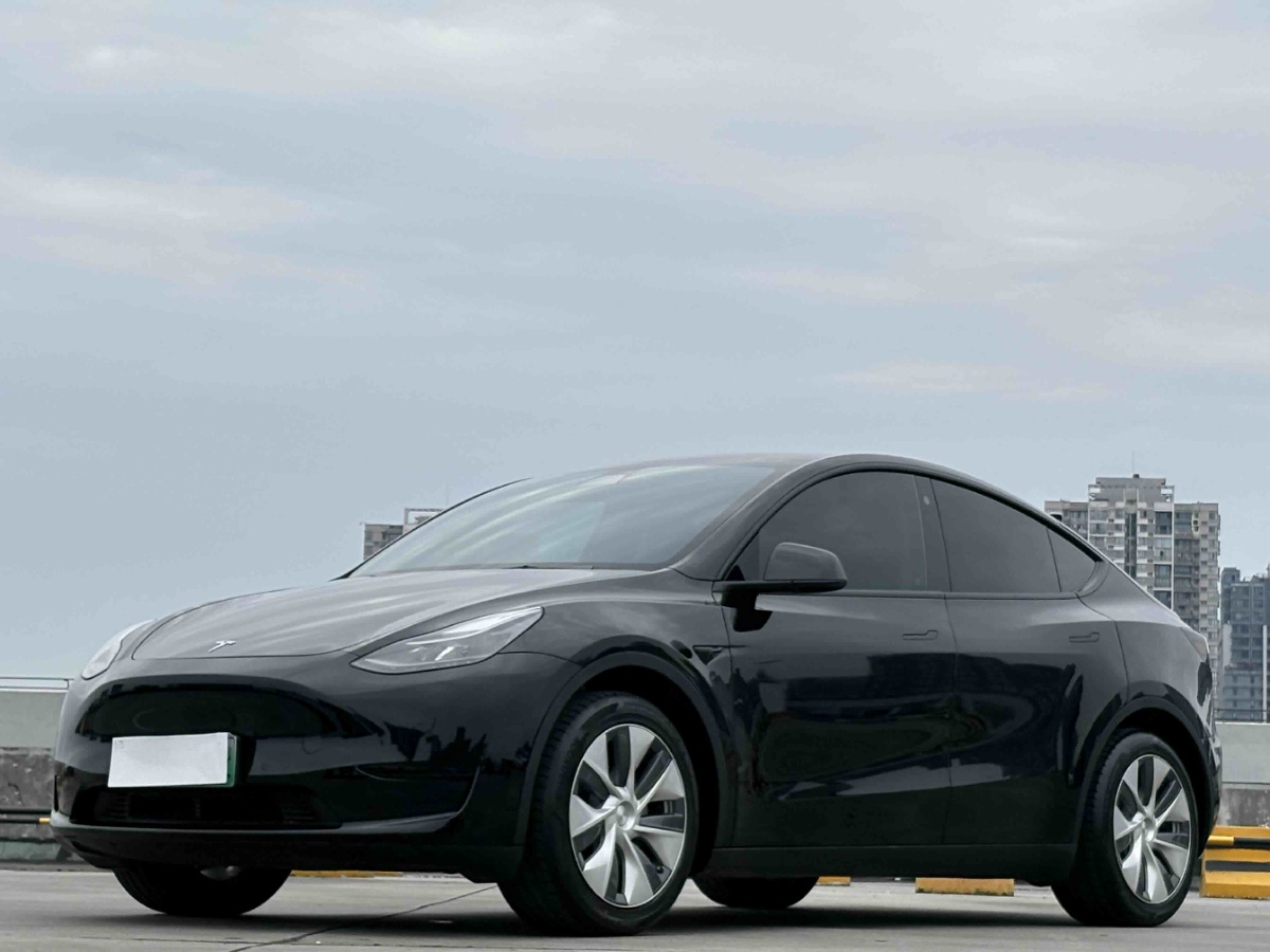 Tesla Model Y 2022 Tesla Model Y 2022 car image