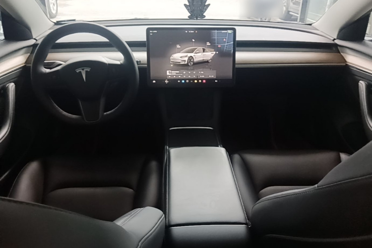 Tesla Model 3 2022 #10 Tesla Model 3 2022 car image #10