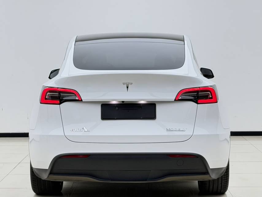 Tesla Model Y 2023 #8 Tesla Model Y 2023 صورة سيارة #8