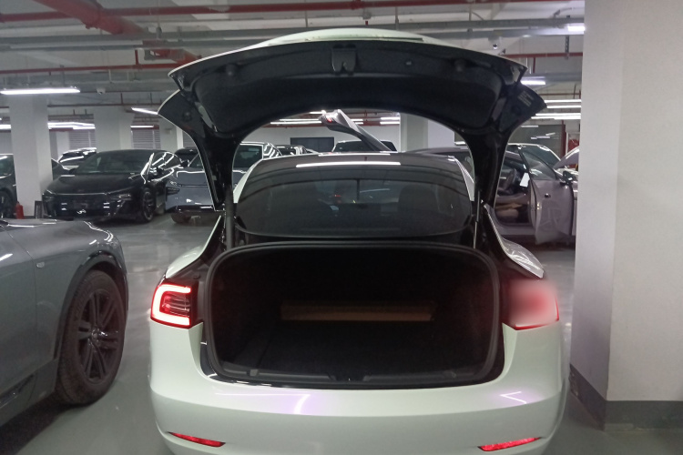 Tesla Model 3 2021 #21 Tesla Model 3 2021 car image #21