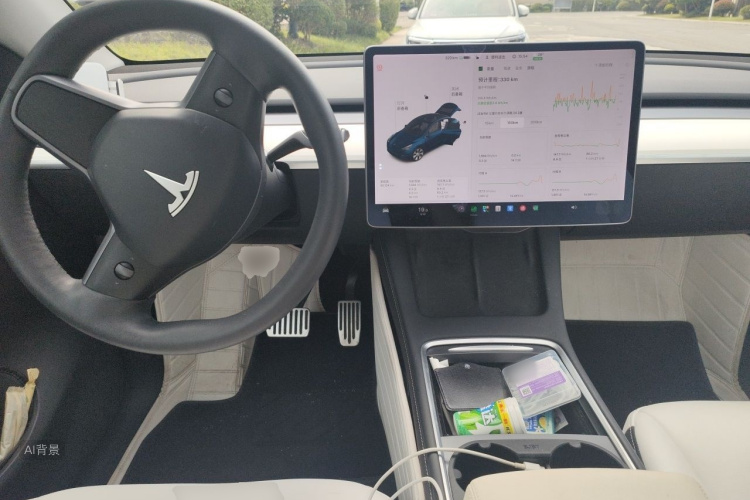 Tesla Model Y 2021 #11 Tesla Model Y 2021 car image #11