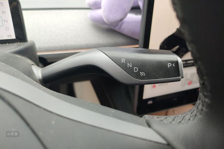 Tesla Model Y 2024 car image #16