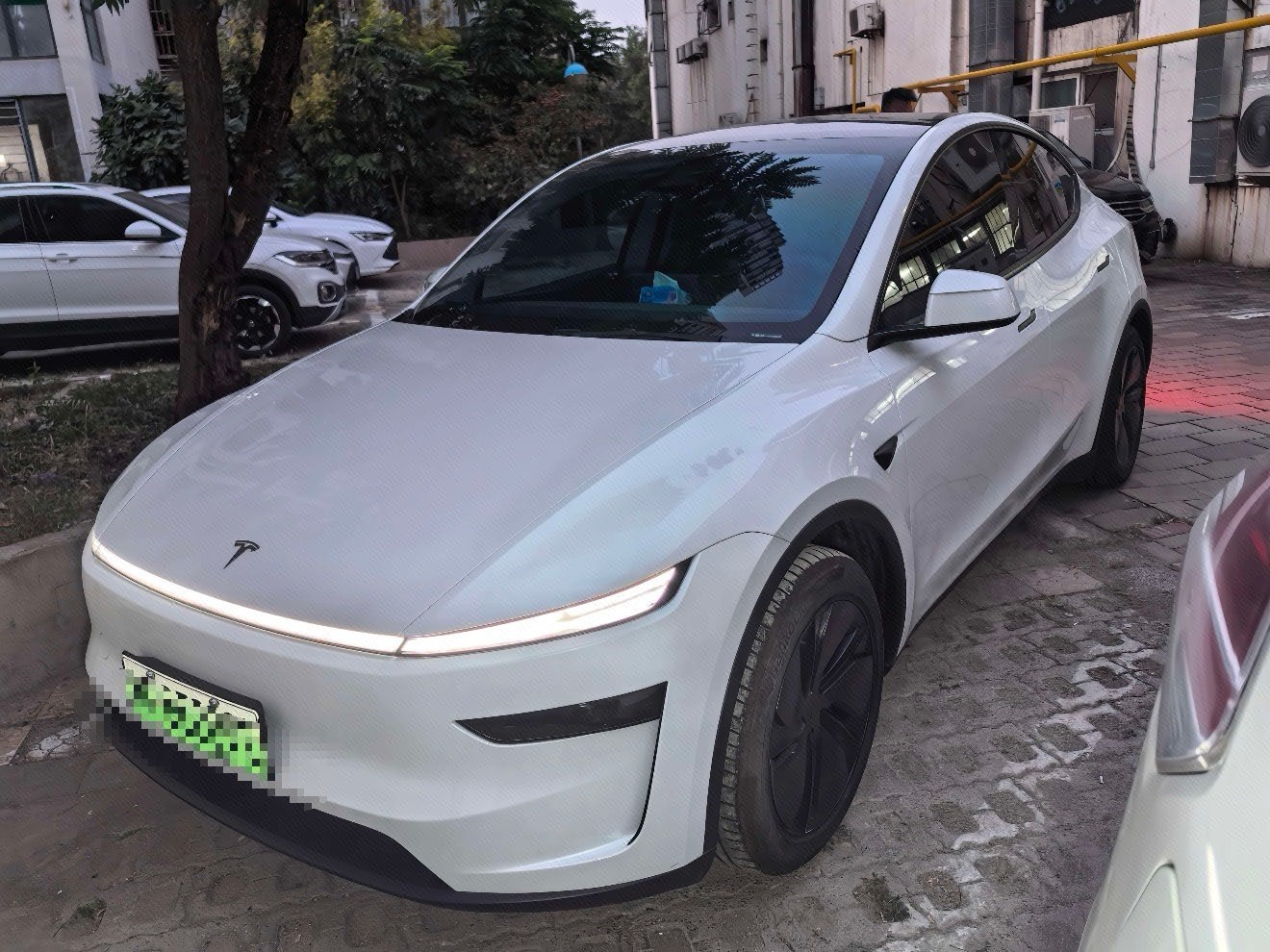 Tesla Model Y 2025 car image 