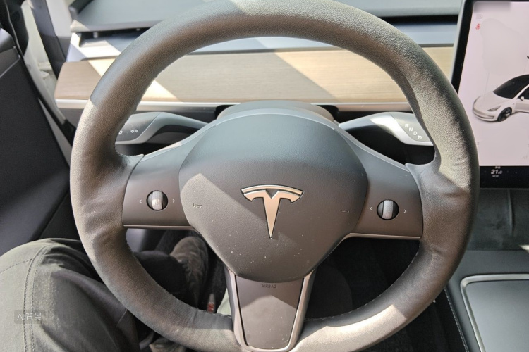 Tesla Model 3 2021 car image #12
